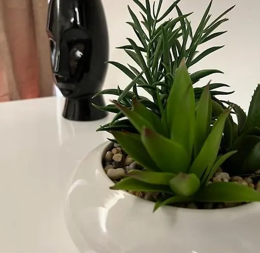 Apartamento Luxury Dreamview *